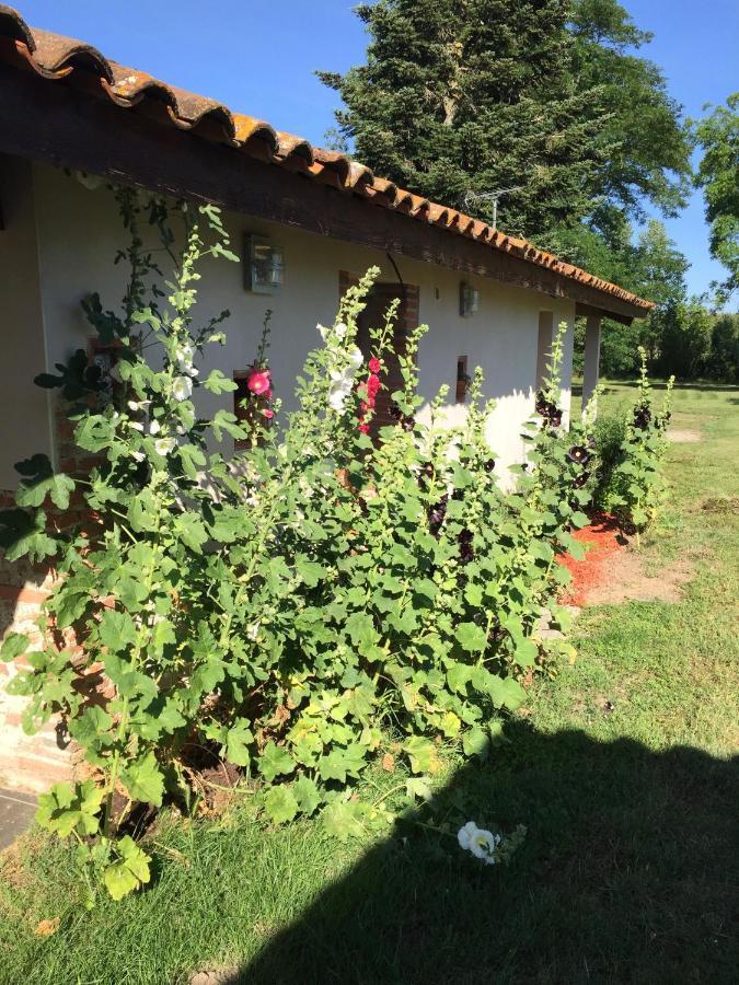 La Petite Maison Mazères Extérieur photo